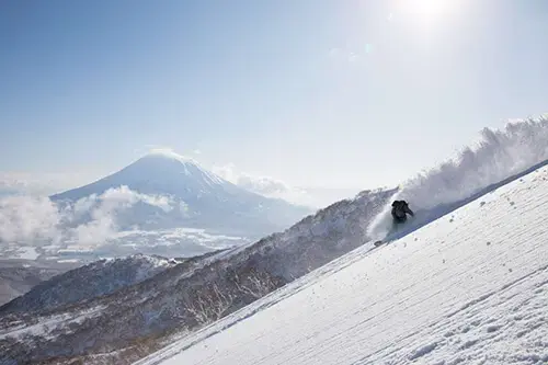 Full day 6-hour private ski lesson on Niseko slopes