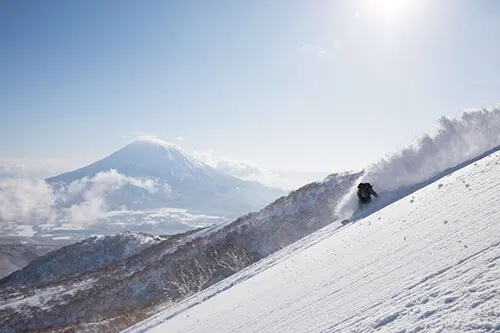 Full day 6-hour private ski lesson on Niseko slopes