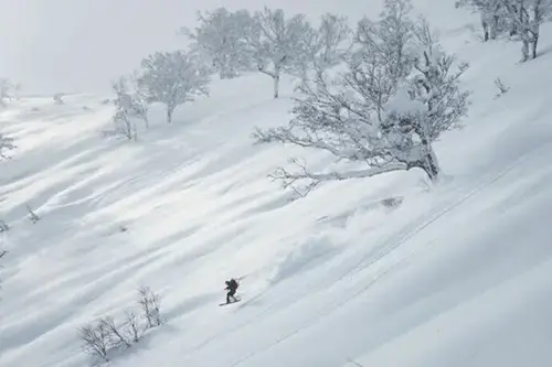 7-hour full day private ski lesson in Niseko