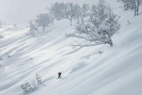 Full day 7-hour private snowboard lesson in Niseko Hirafu