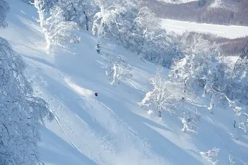 Morning half day private ski lesson starting at 9am in Niseko