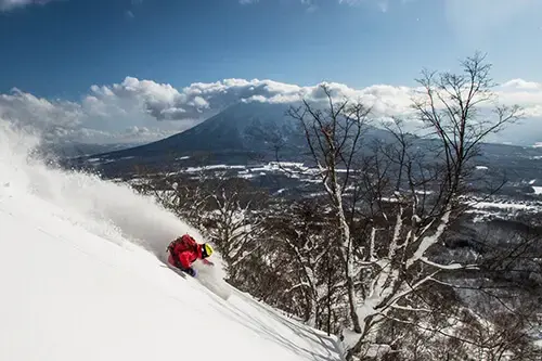 Full day private ski lesson at Rusutsu Resort, Hokkaido